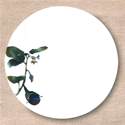 Noritake 27cmプレート